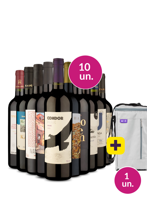 Kit 10 - Tintos para todos + Bolsa p/ 3 garrafas Grátis - Exclusivo We