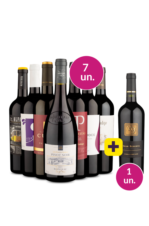 Kit 7 - Noite de Tintos + V9 Gran Reserva Grátis 