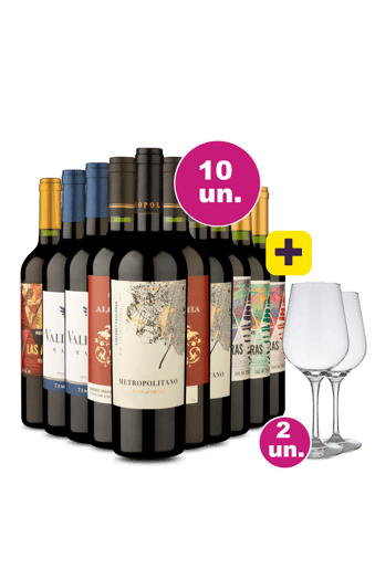 Kit 10 - Tintos por 31,90 + 2 Taças Cristal Espumante Grátis - Exclusivo We