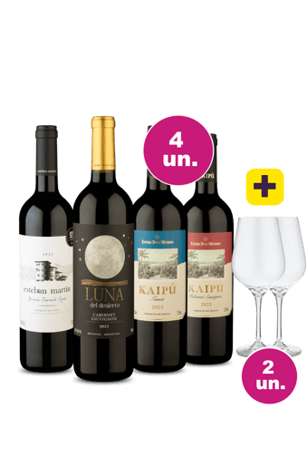 Kit 4 - Tintos Queridos + Par de Taças de Cristal Grátis