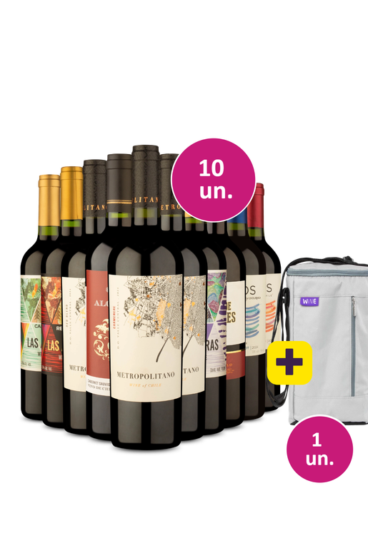 Kit 10 - Tintos por 32,90 a garrafa + Bolsa Térmica para 3 garrafas Grátis - Exclusivo We