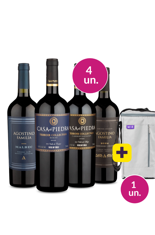 Kit 4 - Degustação Clube + Bolsa p/ 3 garrafas Grátis - Exclusivo We