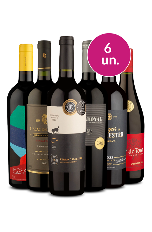 Kit 6 - Encontro Premium - Oferta Muito Absurda