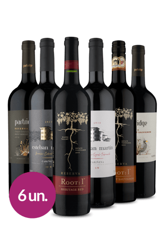 Kit 6 -  Tintos Campeões Wine