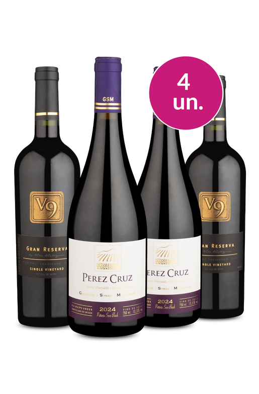 Kit 4 - V9 Gran Reserva e Pérez Cruz - Oferta Absurda