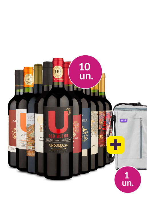 Kit 10 - Tintos + Bolsa p/ 3 garrafas Grátis - Exclusivo We