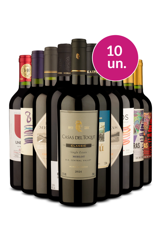 Kit 10 - Tintos Secos - Exclusivo We