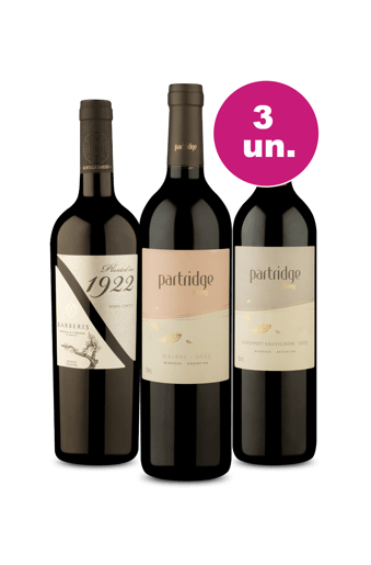 Kit 3 - Tintos Argentinos por R$99 - Oferta Absurda