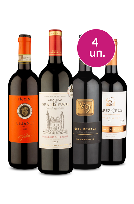 Kit 4 - Desbravando o Mundo dos Vinhos - Exclusivo We