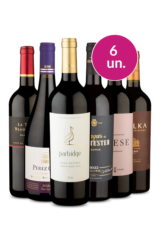 Kit 6 - Vinhos Chiques e no Precinho - Oferta Absurda