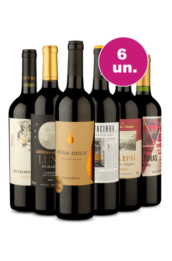 Kit 6 - Tintos Renomados por 199 - Exclusivo We