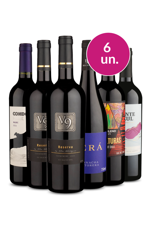 Kit 6 - Tintos no Precinho - Spoiler Black Wine
