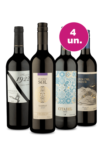 Kit 4 - Tintos Variados por R$29,90 Por Garrafa