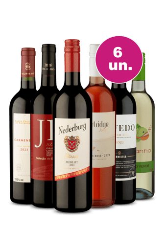 Kit 6 - Campeões por R$249