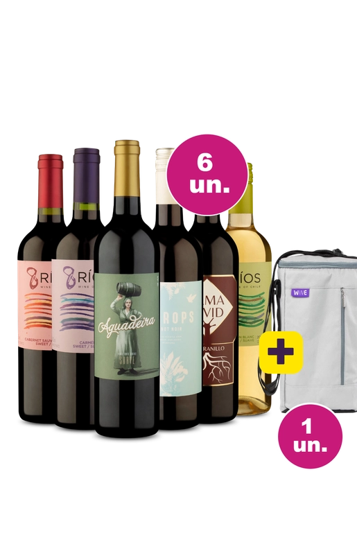 Kit 6 - Suaves + Bolsa p/ 3 garrafas Grátis - Exclusivo We