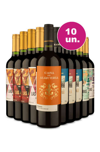 Kit 10 - Tintos por R$ 25/garrafa - Exclusivo We