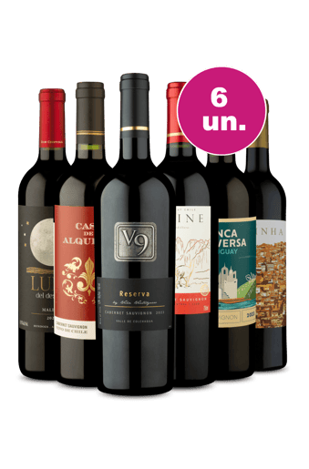 Kit 6 - Tintos Renomados por R$27,90 por Garrafa