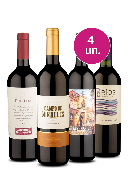 Kit 4 - Volta ao Mundo por R$99 - Oferta Absurda