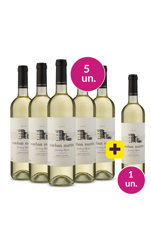Kit 5 + 1  - Esteban Martín D.O. Cariñena Chardonnay Macabeo Blanco + 1 garrafa de brinde - Exclusivo WE