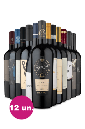 Super Kit 12 - Indicações Wine Select