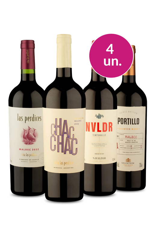 Kit 4 - Queridinhos por R$ 200 - Exclusivo We