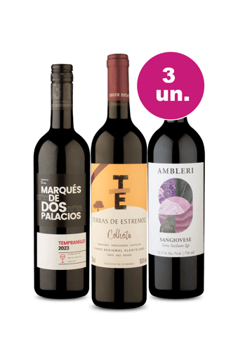 Kit 3 - Mochilão Na Europa por R$99