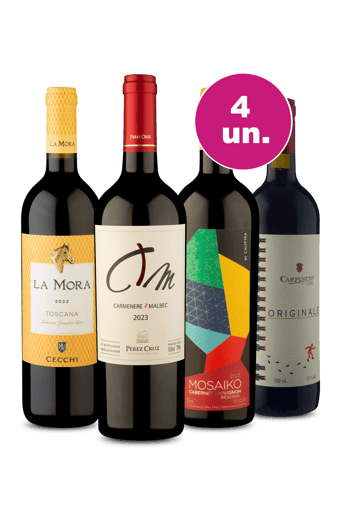 Kit 4 por 249 - Tintos High Society