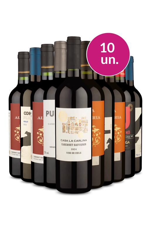 Kit 10 - Tintos por 26,90 - Exclusivo We