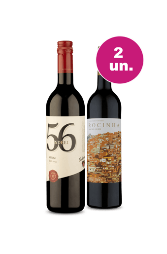 Kit 2 - Novidades Conhecidas por R$80 - Oferta Especial 8/8