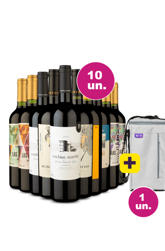 Kit 10 - Vinhos por 35,90 + Bolsa Térmica p/ 3 garrafas Grátis - Exclusivo We