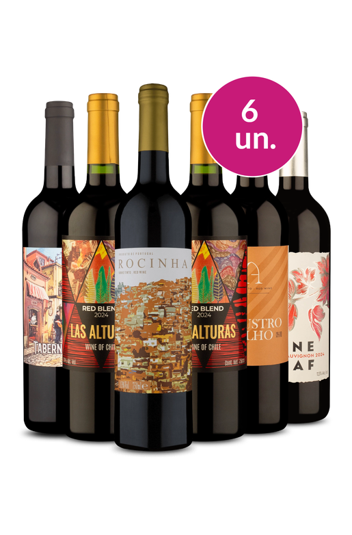 Kit 6 - Tintos Meio Secos - Exclusivo We