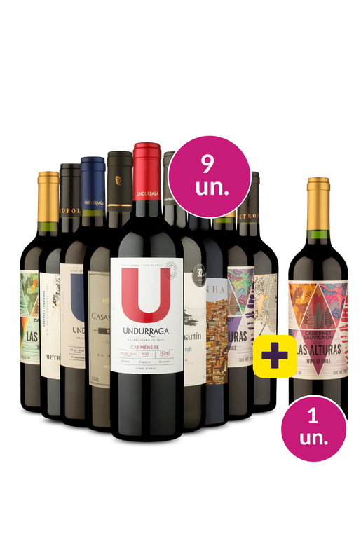 Kit 9 - Tintos para Surpreender + 10ª garrafa Grátis - Exclusivo We