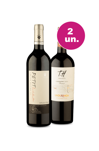 Kit 2 - Encontro no Valle De Cachapoal