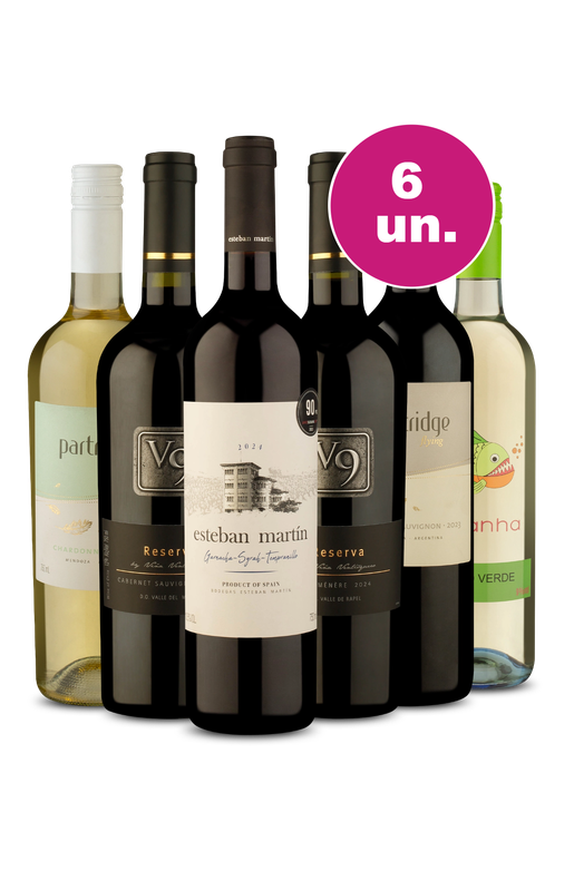 Kit 6 - A Melhor Oferta do Mês - Spoiler Black Wine