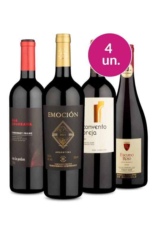 Kit 4 - Tintos Especiais - Exclusivo We