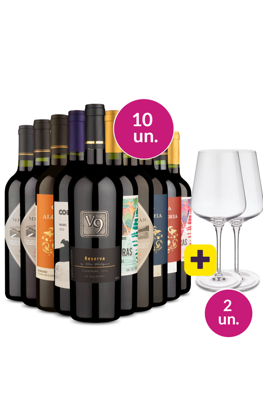 Kit 10 - Tintos Secos por R$29,90 cada + Par de Taças de Cristal Grátis - Oferta Absurda