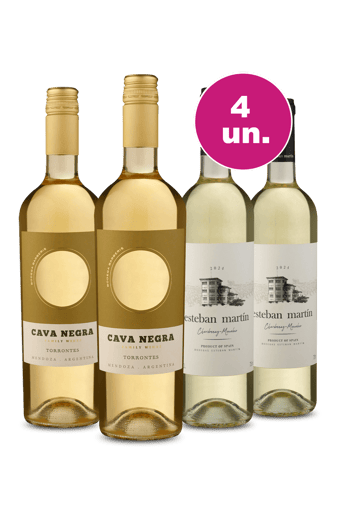Kit 4 - Encontro de Campeões: Casas Del Toqui Torrontés e Esteban Martín Blanco
