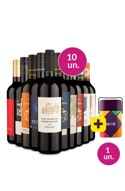 Kit 10 - Tintos Secos + Cooler Retrô Grátis - Exclusivo We
