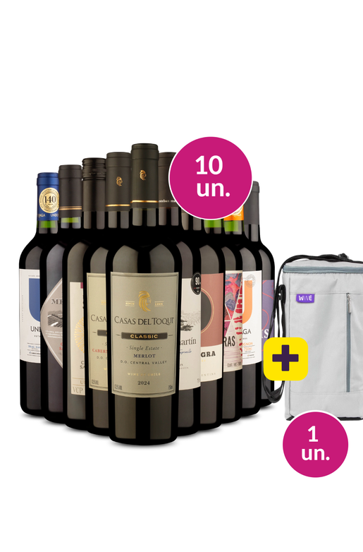 Kit 10 - Tintos Secos + Bolsa p/ 3 garrafas Grátis - Exclusivo We