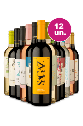 Kit 12 - Vinhos para todos os gostos por R$ 27 a garrafa - Exclusivo We