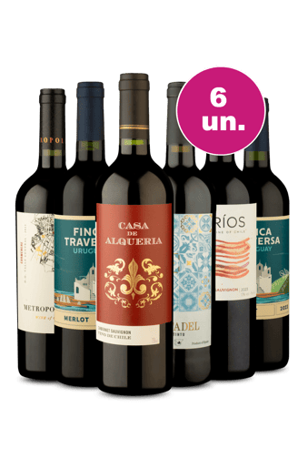 Kit 6 - Tintos para o Dia a DIa - Exclusivo WE