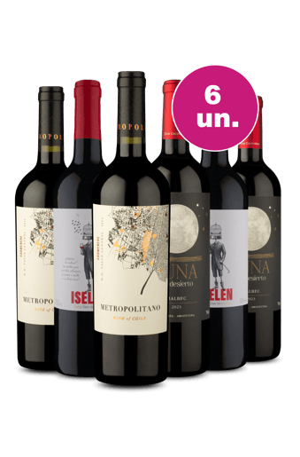 Kit 6 por R$199 - Tintos para Celebrar