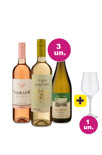 Kit 3 - Refrescantes Maneiríssimos por R$99 + Taça Grátis