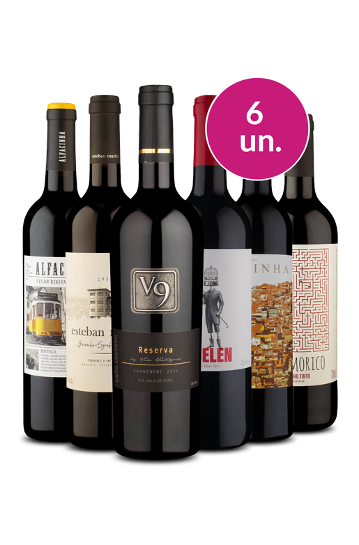 Kit 6 - Tintos para amar - Exclusivo We