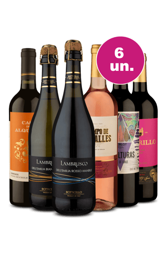 Kit 6 - Sabores Mesclados - R$27,90 por Garrafa