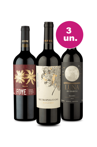 Kit 3 Por R$99 - Tintos Mais Queridos - Oferta Insana IZ