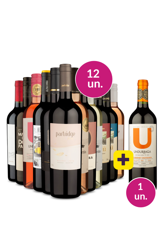 Kit 13 - Super Campeões + Undurraga Grátis