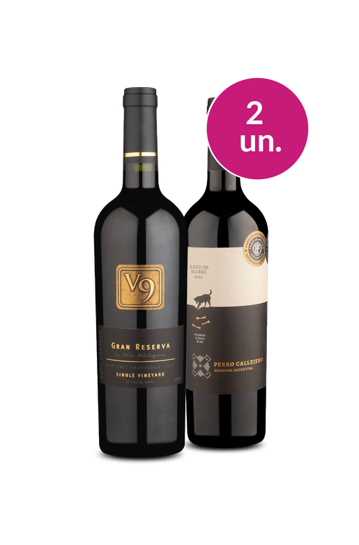 Kit 2 - V9 Gran Reserva e Perro Callejero Malbec - Spoiler Black Wine
