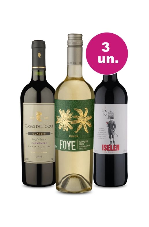 Kit 3 Por R$99 - Tinto Super Selecionados - Oferta Insana