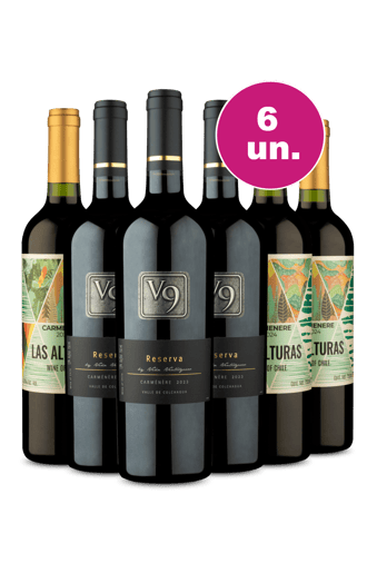 Kit 6 - V9 Reserva e Las Alturas Carménère - Oferta Insana